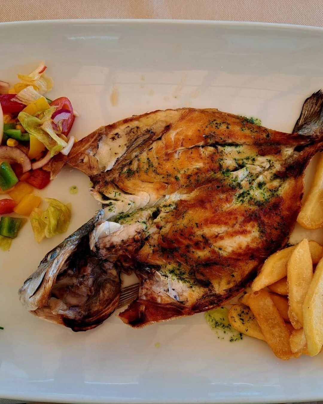 Cafe and Restaurant - Mirasol